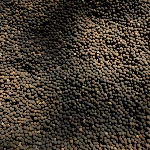 SeedBalls (3)